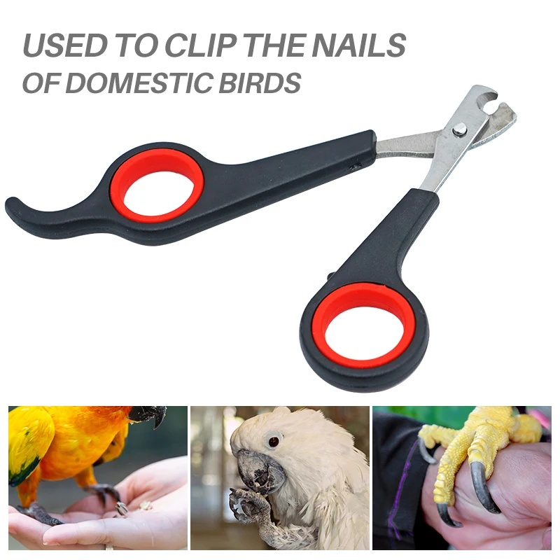 12cm Pet Parrot Nail Scissor D - đánh giá và giá Grooming Scissors
