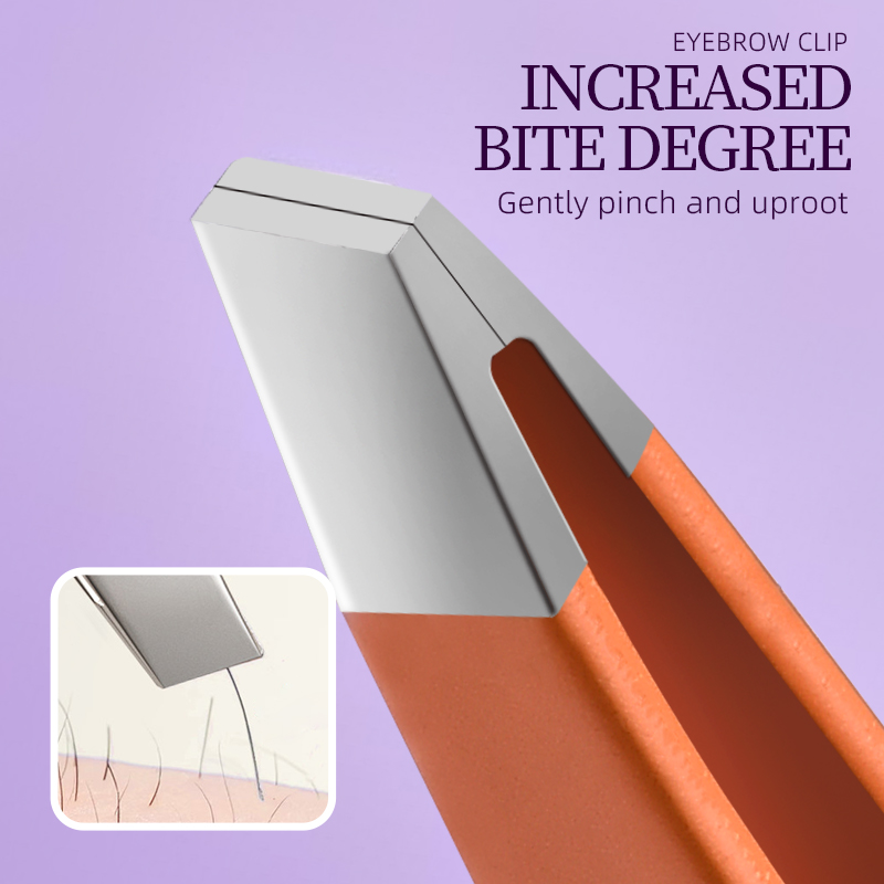 Professional Stainless Steel 4 - đánh giá và giá Grooming Kit
