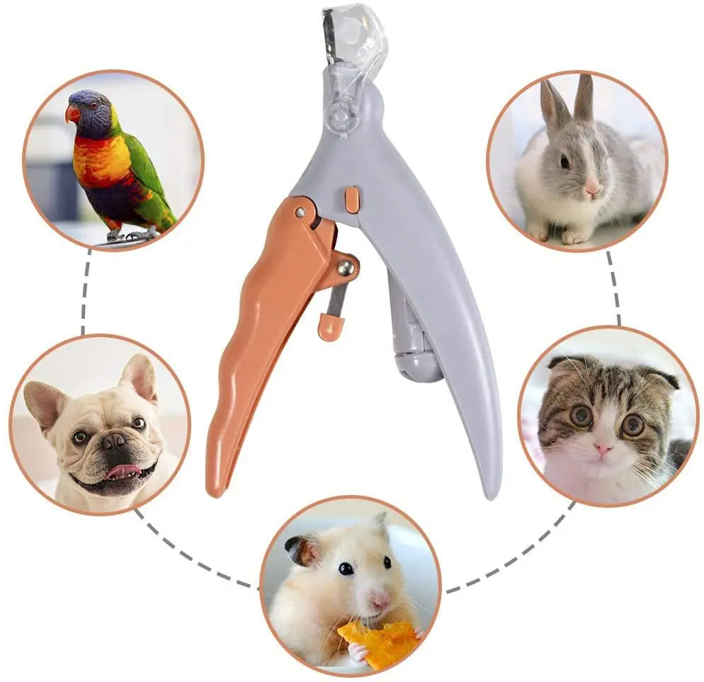 Professional Pet Nail Clipper  - đánh giá và giá Grooming Scissors